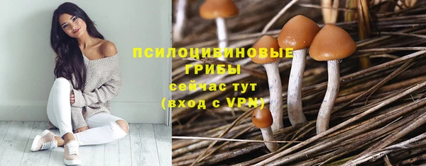 гашишное масло Краснослободск